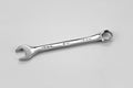 13 mm 6 Point Metric Regular Combination Chrome Wrench