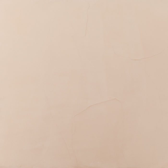 Fresco Harmony Holland Champaign Colour Formula - 8oz